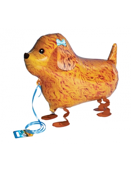 Globo Perro Caniche73cm - Mascota Caminadora - Walking Pet