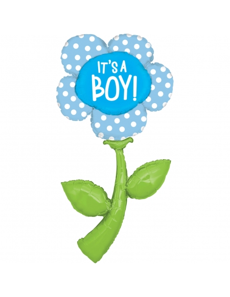 Globo Fresh Picks Its A Boy Forma 152cm