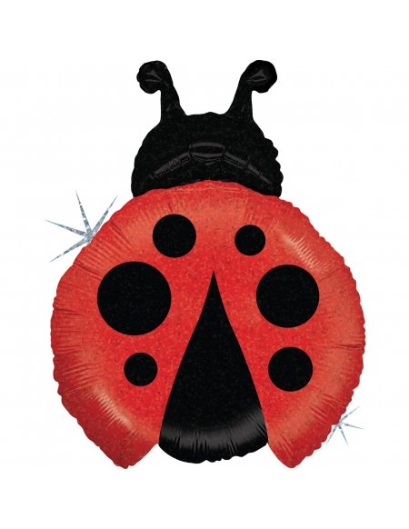 Globo Little Ladybug Forma 69cm