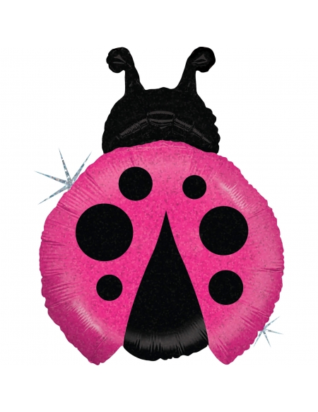 Globo Little Ladybug Magenta Forma 69cm