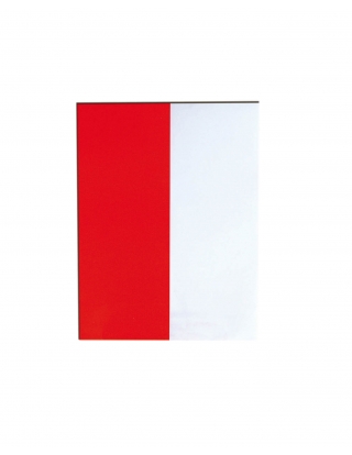 Bandera Papel Cantabria 15x20cm de 25m para Fiestas y Cumpleaños