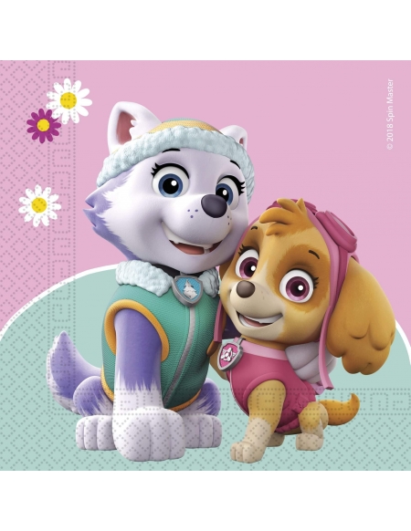 Servilletas Paw Patroll Sky and Everest de 33x33cm 20 UDS