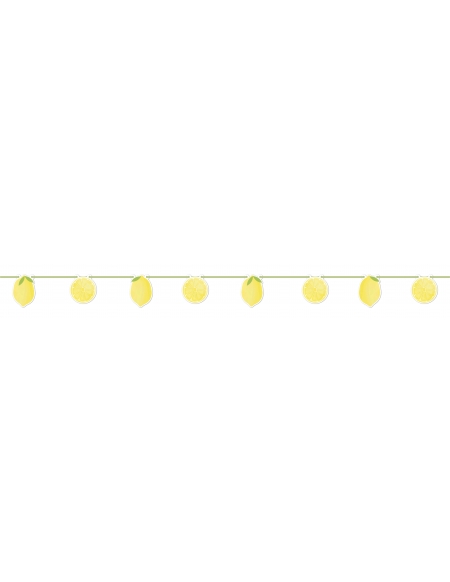 Guirnalda Lemons de 230cm 1 UD
