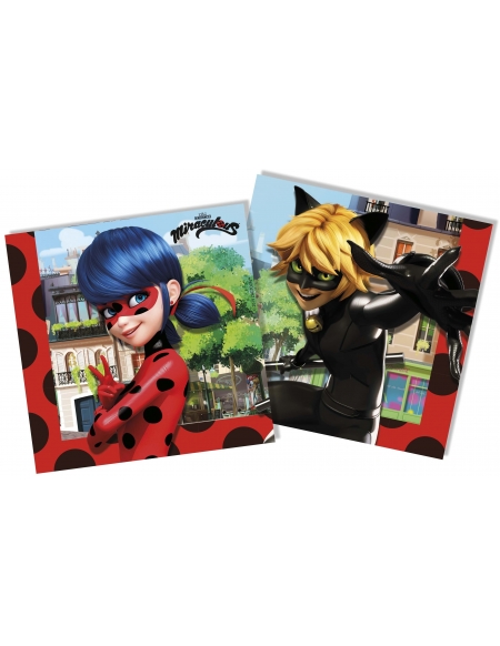 Servilletas Ladybug y Cat Noir de 33x33cm 20 UDS