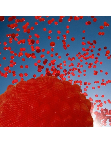Suelta de globos de látex de 90cm hinchados con helio y Red