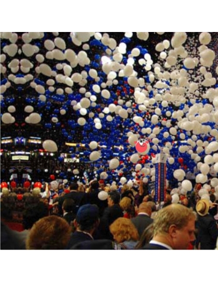 Expectacular Caída o Lluvia de 500 Globos 30cm Látex 30cm